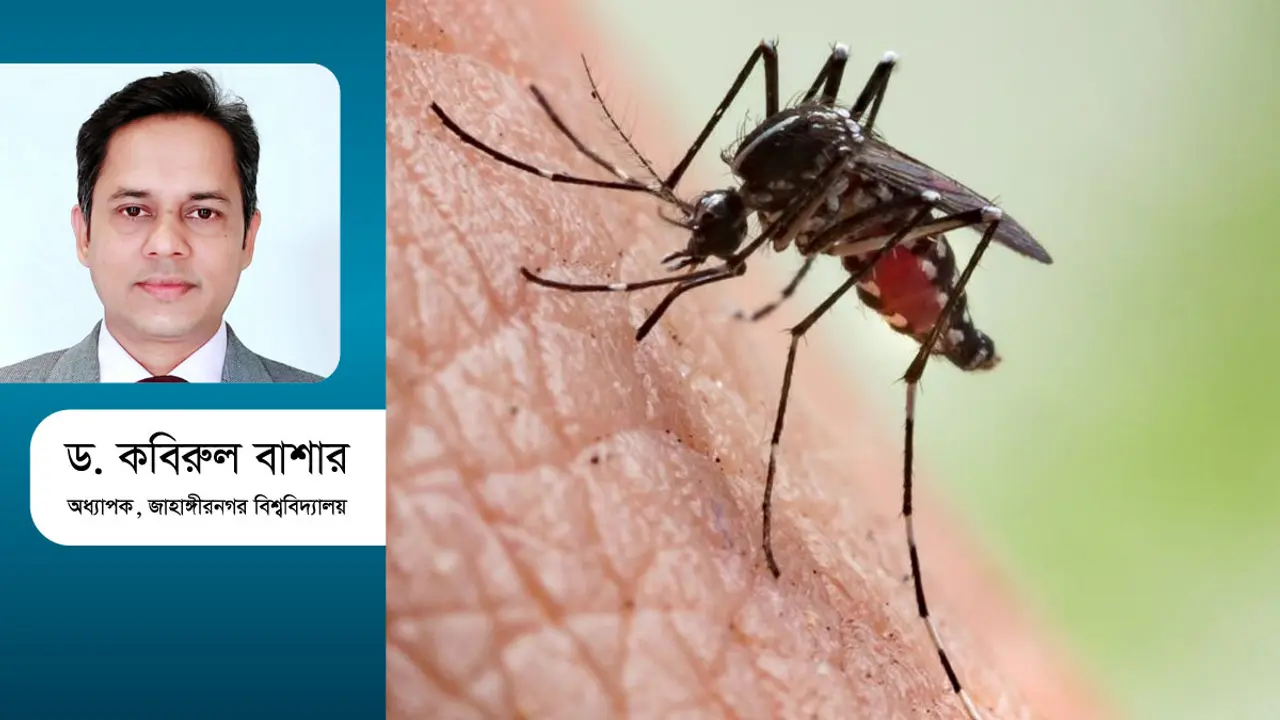 মশা নিধন : আর্থিক ক্ষতি ও দীর্ঘমেয়াদি পরিকল্পনা