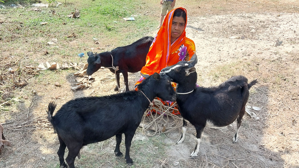 ছাগল পালনে বদলে যাচ্ছে চরাঞ্চলের নারীদের ভাগ্য