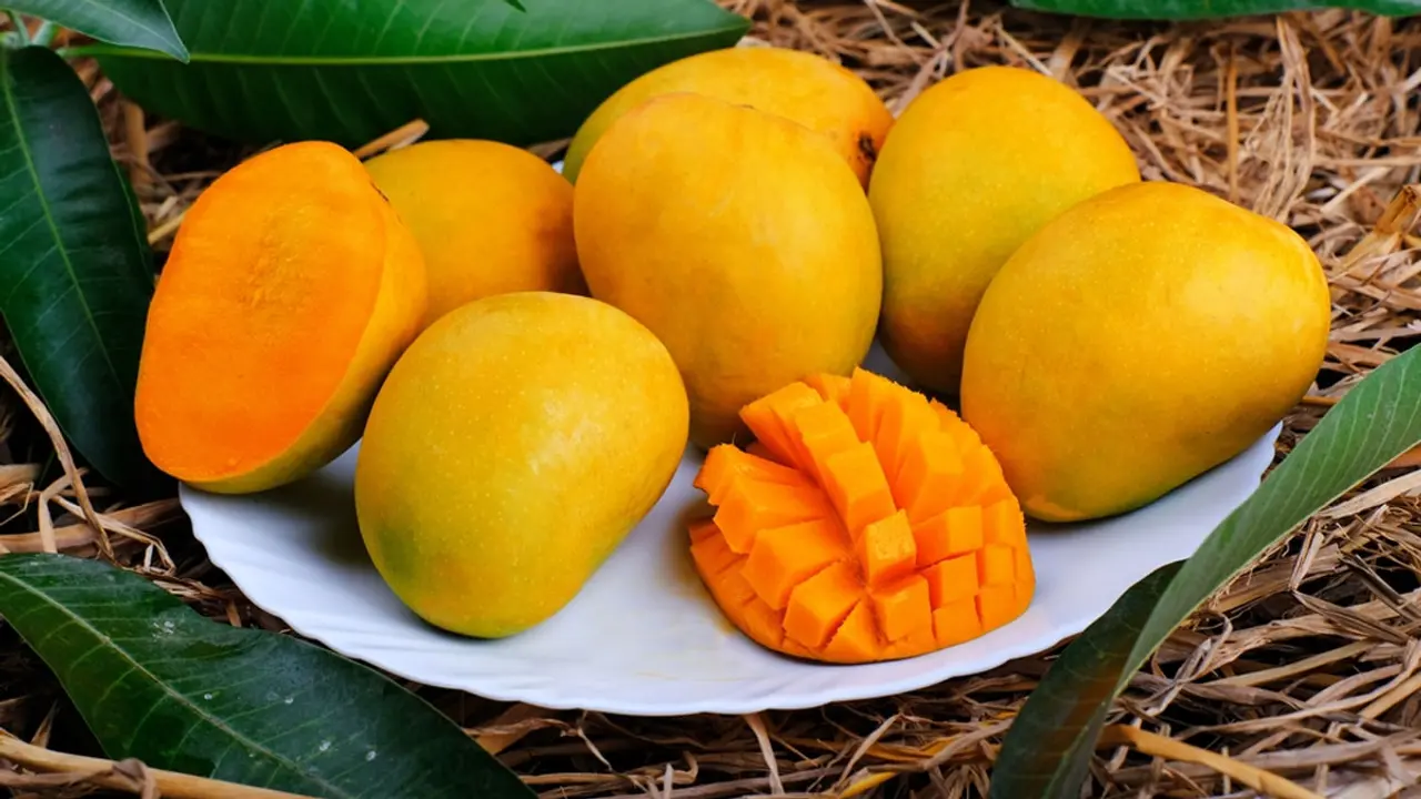 আম খাওয়ার আগে জেনে নিন এই ৪ নিয়ম