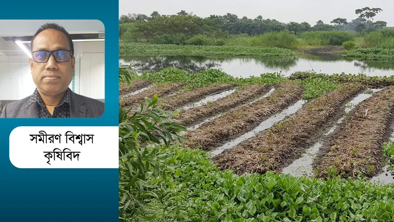স্মার্ট কৃষি প্রযুক্তি : ভাসমান সবজি বাগান