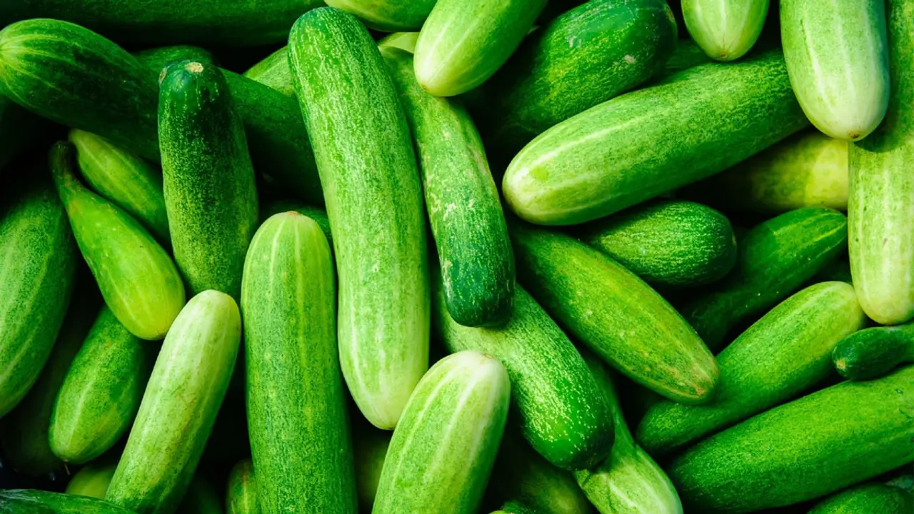 গরমে শসা খাওয়ার উপকারিতা