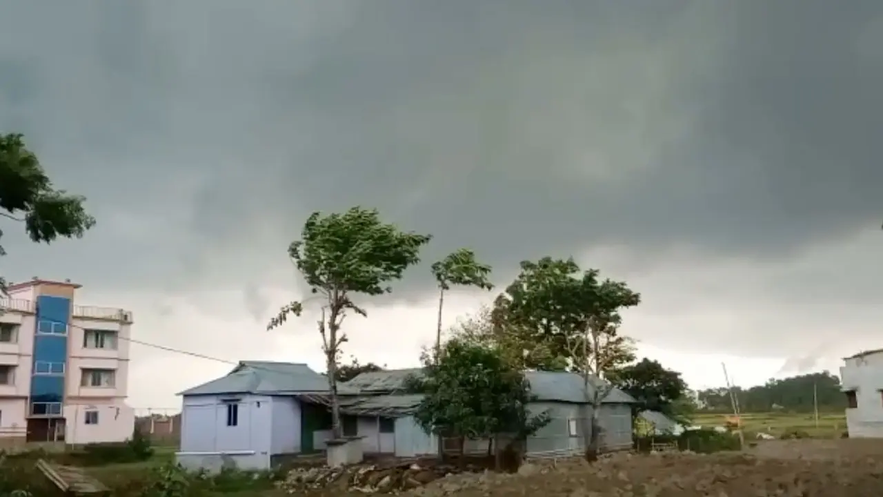 হাওরে ধান কাটার সময় বজ্রপাতে প্রাণ গেল ৬ কৃষকের