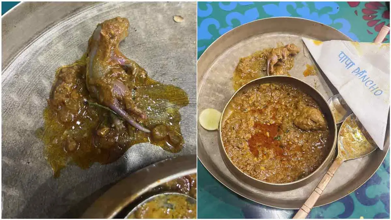 হোটেলে খেতে বসে মুরগির তরকারিতে পেলেন মরা ইঁদুর (ভিডিও)