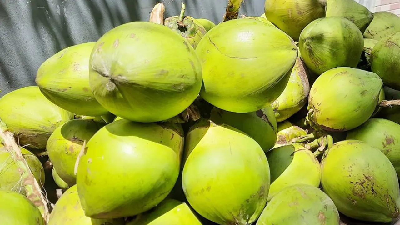 ডাবের ডবল সেঞ্চুরি!