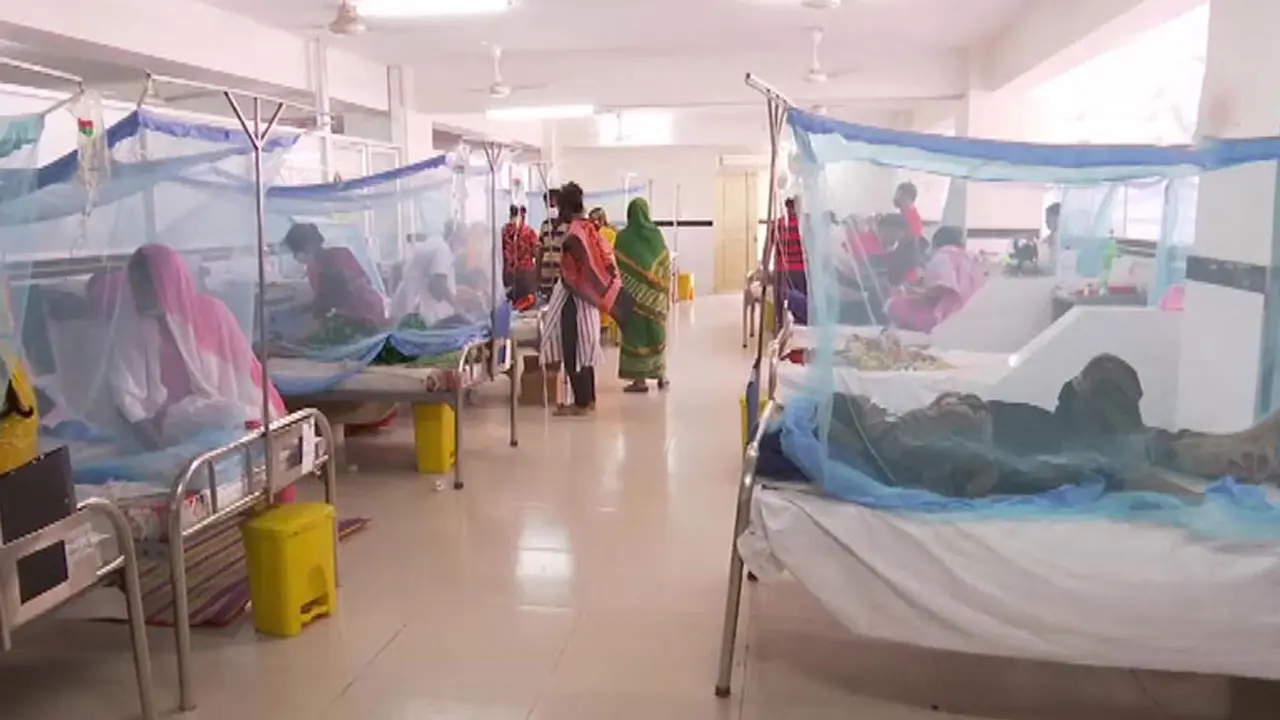 ডেঙ্গুতে আক্রান্ত হয়ে মৃত্যু ৫০০ ছাড়িয়েছে