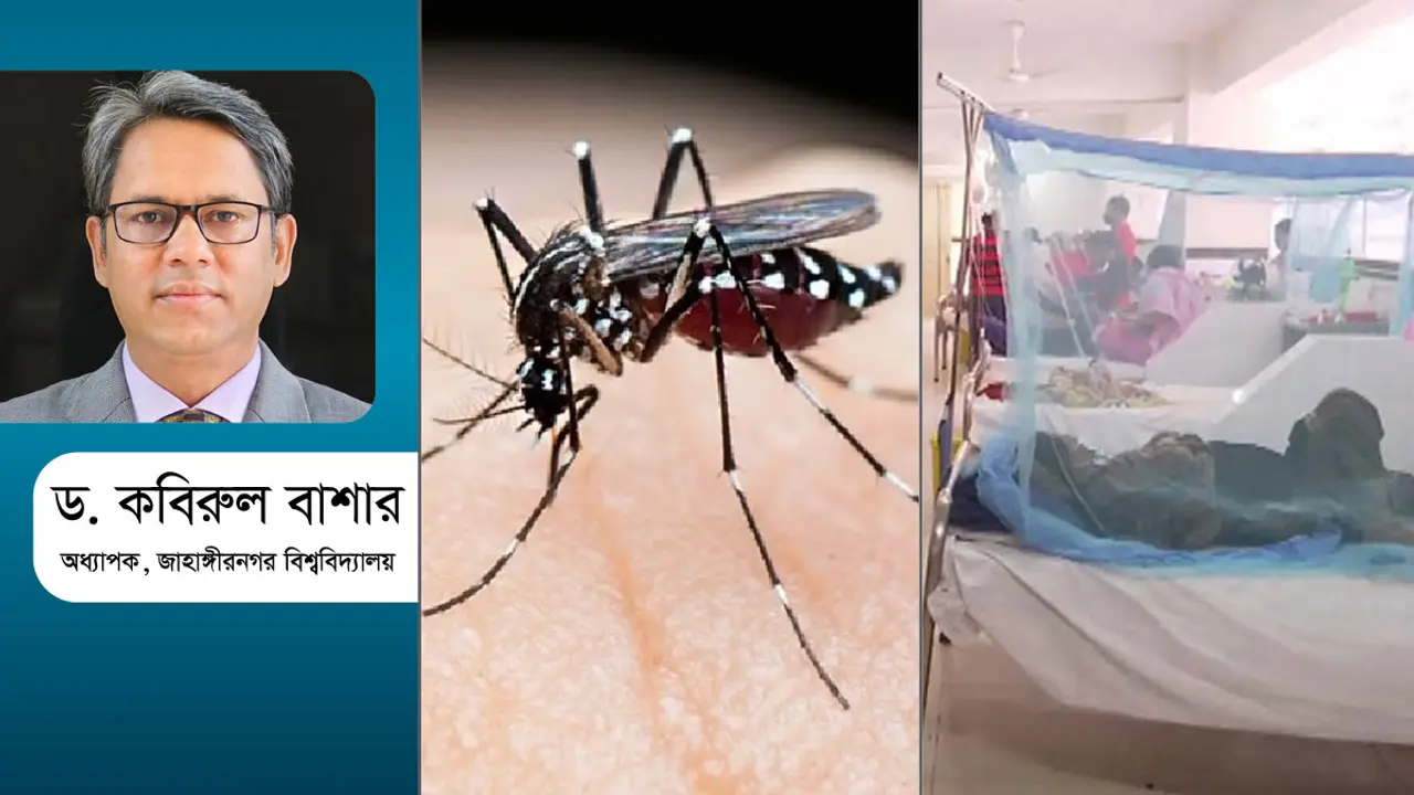 কোন পথে ডেঙ্গু?