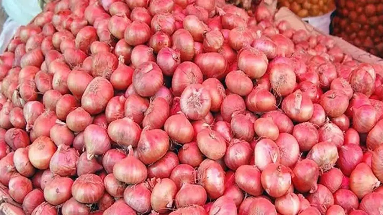 ভারত ছাড়াও আরও ৯ দেশ থেকে আসবে পেঁয়াজ