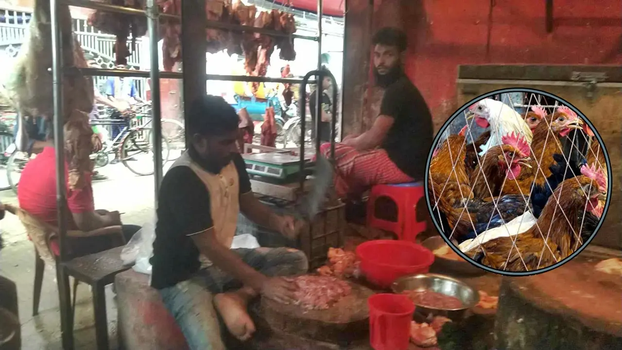 মুরগির মাংসের নয়, চাহিদা বেড়েছে পা-গিলা-কলিজার