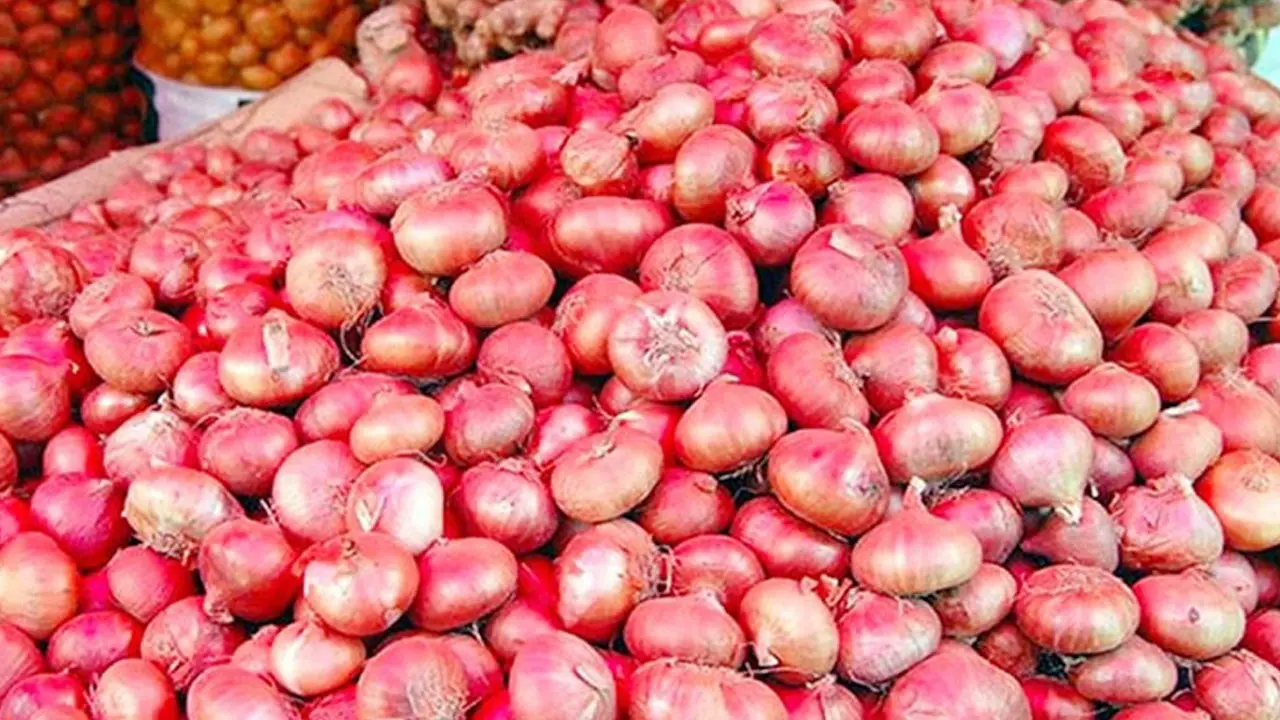 চট্টগ্রাম বন্দর দিয়ে এল ২২৬ টন পেঁয়াজ