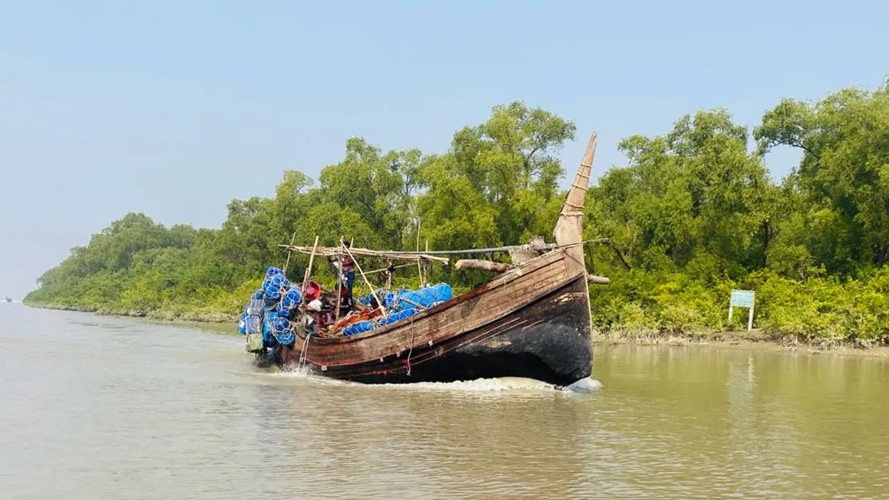 এই শীতে ঘুরে আসুন নিঝুম দ্বীপ