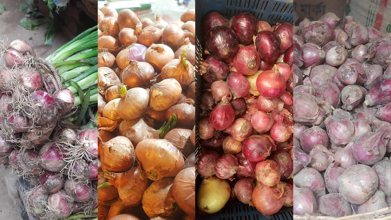 বাজারে বিভিন্ন ধরনের পেঁয়াজ, দাম ৮০-২০০ টাকা