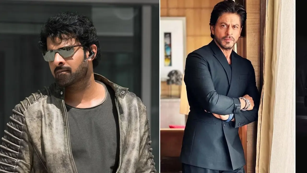 শাহরুখের ‘ডানকি’ থেকে মুখ ফিরিয়ে নিল ৪ রাজ্য, এগিয়ে ‘সালার’