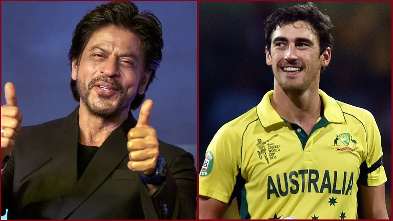 ‘ডানকি’ থেকে যে টাকা আসবে, সেটা স্টার্ক নিয়ে নেবে : শাহরুখ