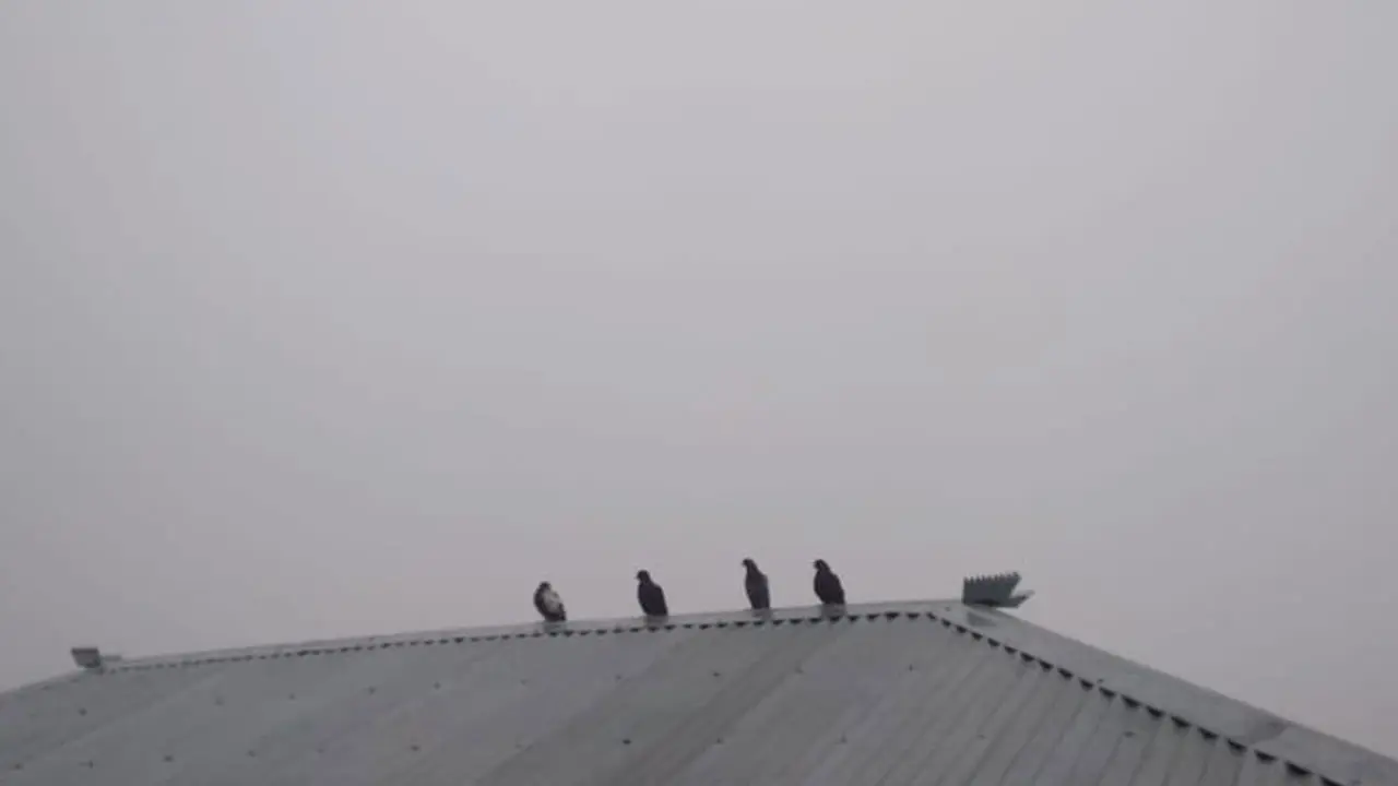 ঢাকায় একদিনে তাপমাত্রা কমেছে ২.৩ ডিগ্রি