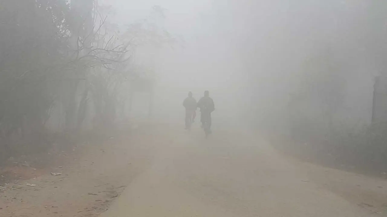 উত্তরের বাতাস বাড়িয়েছে শীতের অনুভূতি