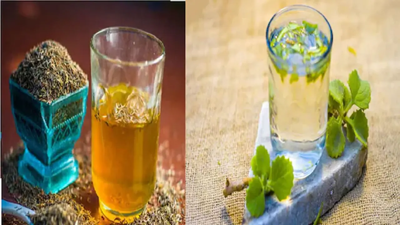 ওজন কমাতে চমকে দেবে যে তিন পানীয়