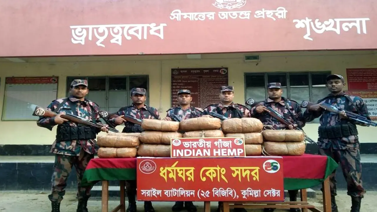 ব্রাহ্মণবাড়িয়ায় বিজিবির অভিযানে বিপুল পরিমাণ মাদকদ্রব্য উদ্ধার