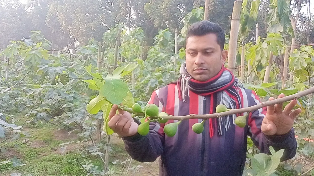 ৩০ প্রজাতির ফল বাগানে সফল ঠাকুরগাঁওয়ের সিদ্দিক