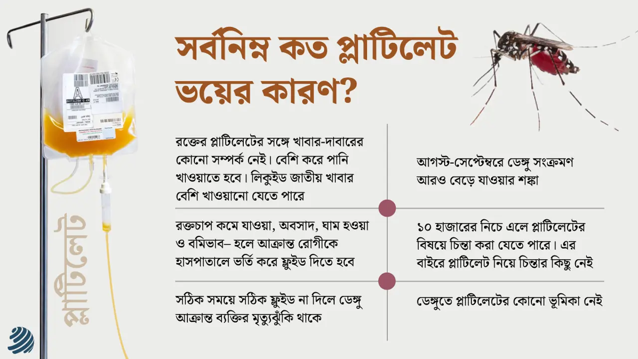 ডেঙ্গু : সর্বনিম্ন কত প্লাটিলেট ভয়ের কারণ?