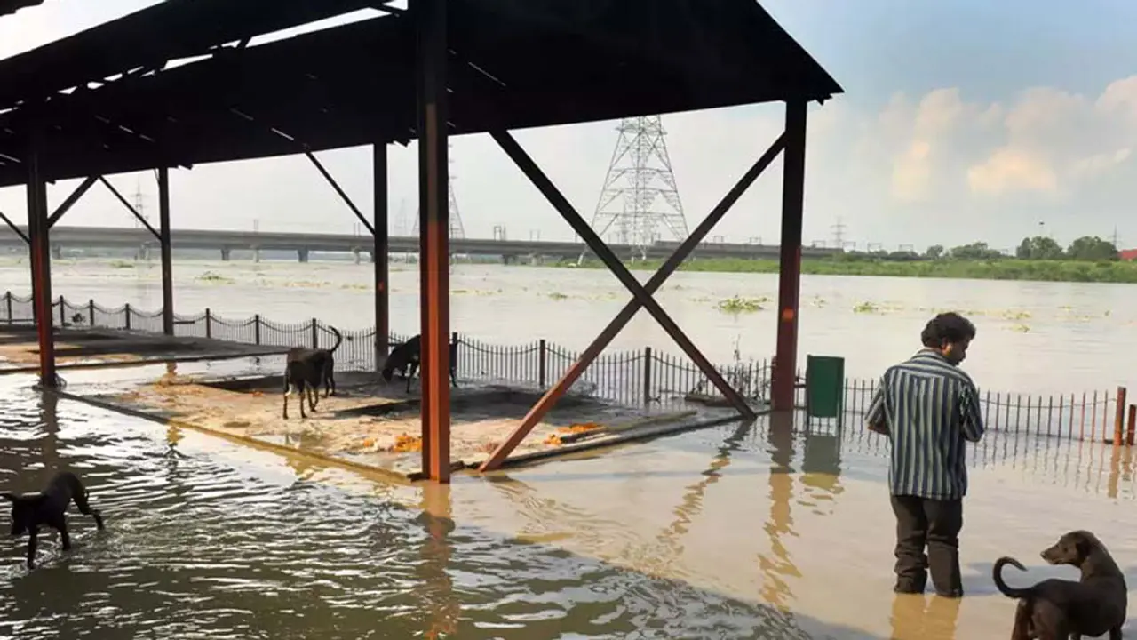 বন্যার কারণে বন্ধ করে দেওয়া হলো দিল্লির সবচেয়ে বড় শ্মশান
