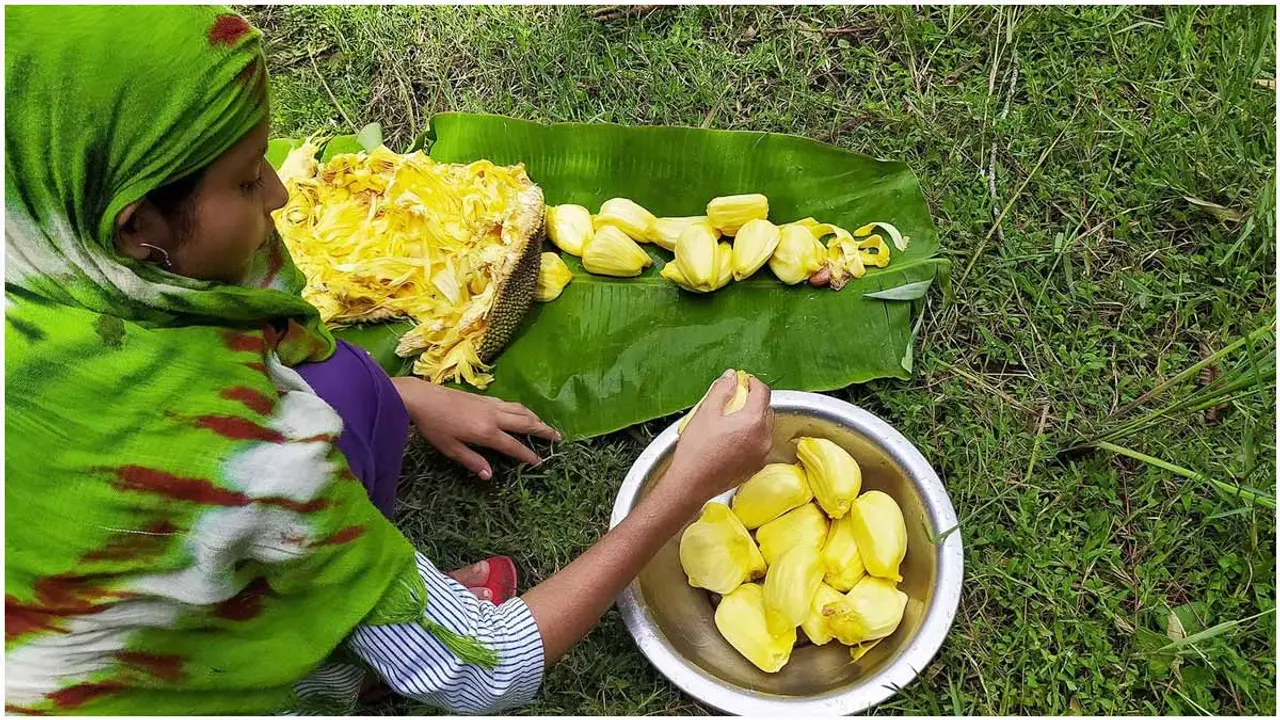 শ্রীলঙ্কায় যেভাবে কাঁঠাল খেয়ে বেঁচে আছে প্রচুর মানুষ