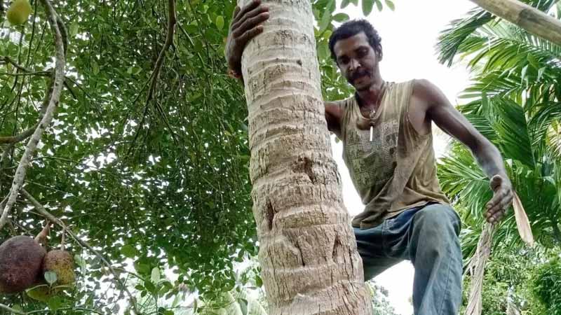 dhakapost