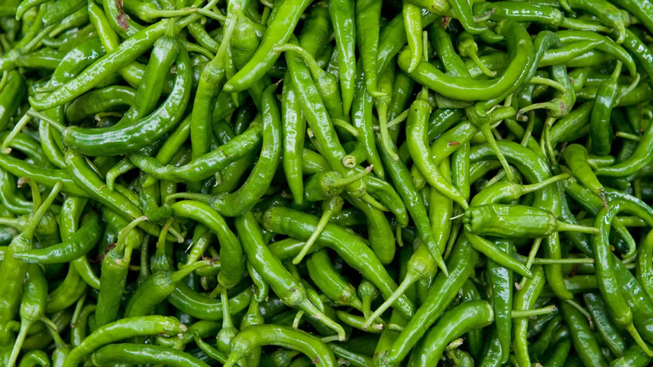 আরও বেড়েছে কাঁচা মরিচের দাম
