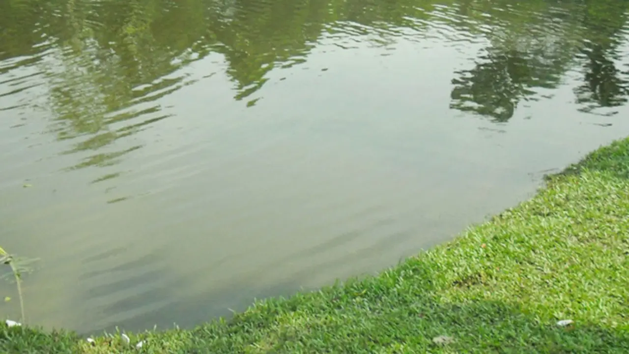 পুকুরে ডুবে প্রাণ গেল দুই চাচাতো বোনের