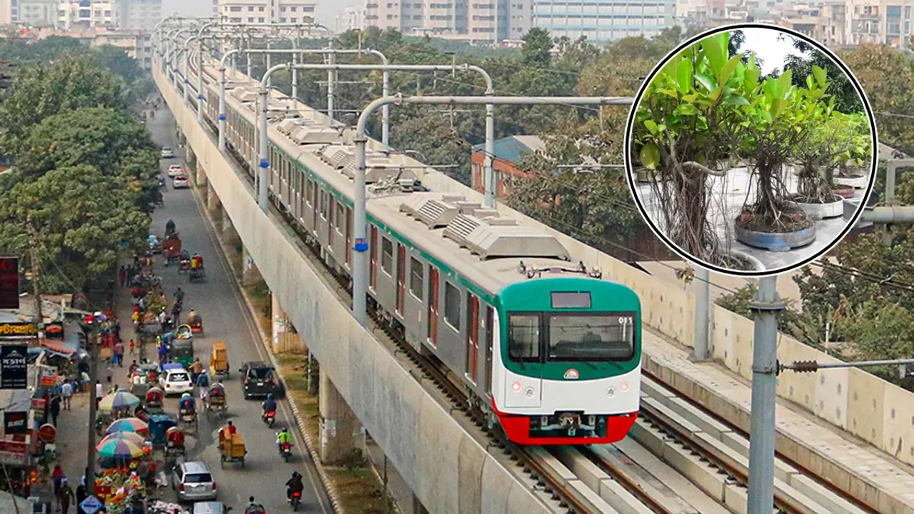 মেট্রোরেলের নিচে বনসাই লাগবে এই বর্ষায়, পরিবেশবিদদের ‘না’