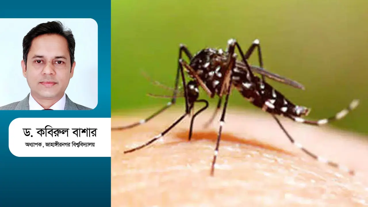 দ্বিতীয়বার ডেঙ্গু কেন বিপজ্জনক?