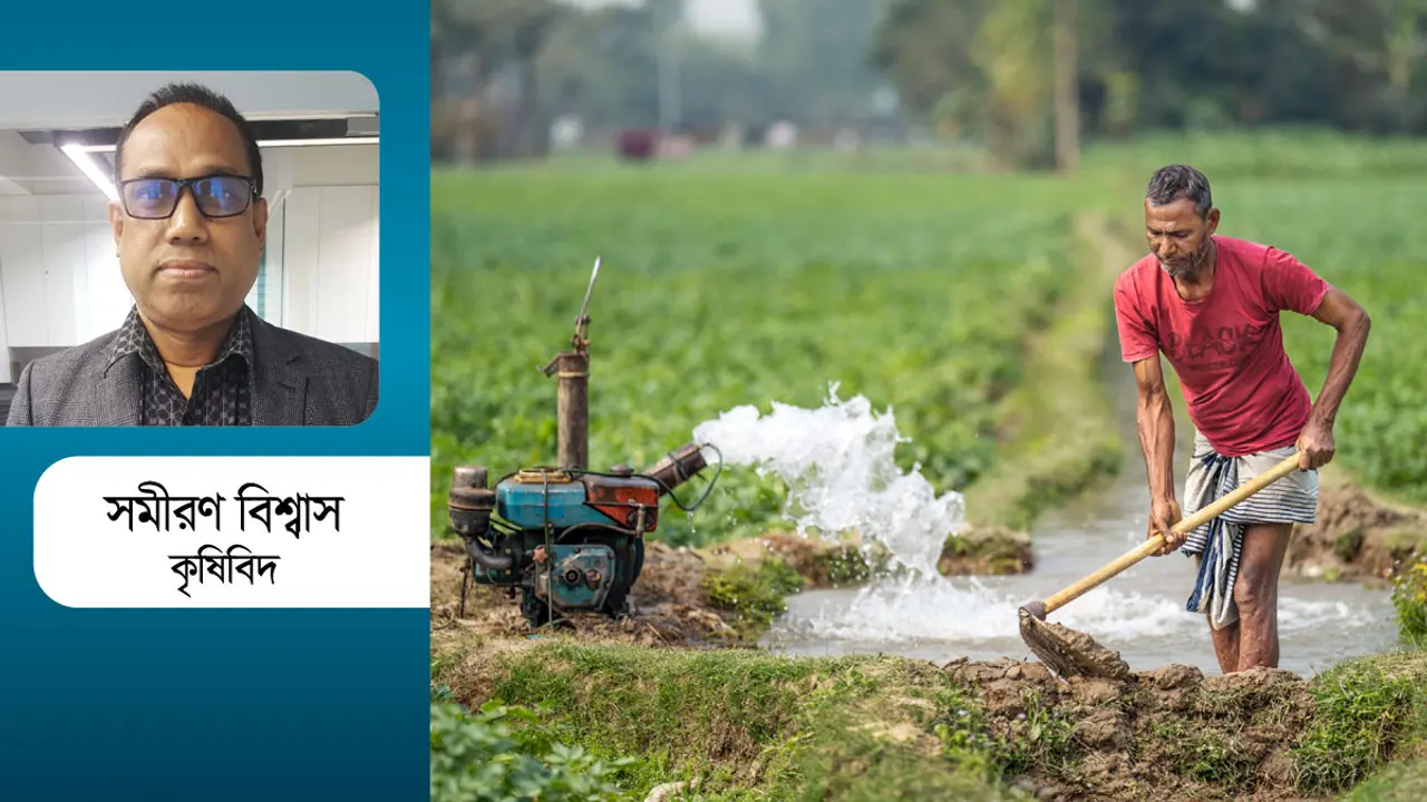 লোডশেডিং ও তাপপ্রবাহ : কৃষিতে বাড়ছে আশঙ্কা