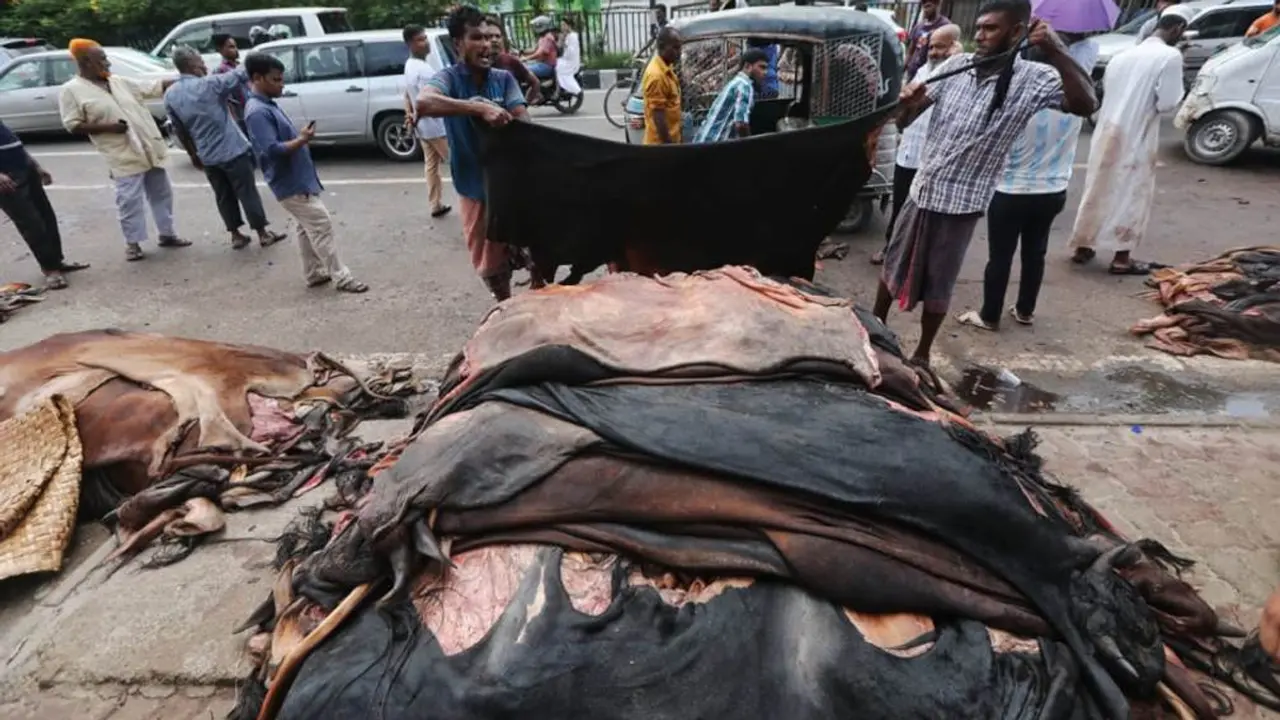 কোরবানির পশুর চামড়া নিজে ব্যবহার করা যাবে?