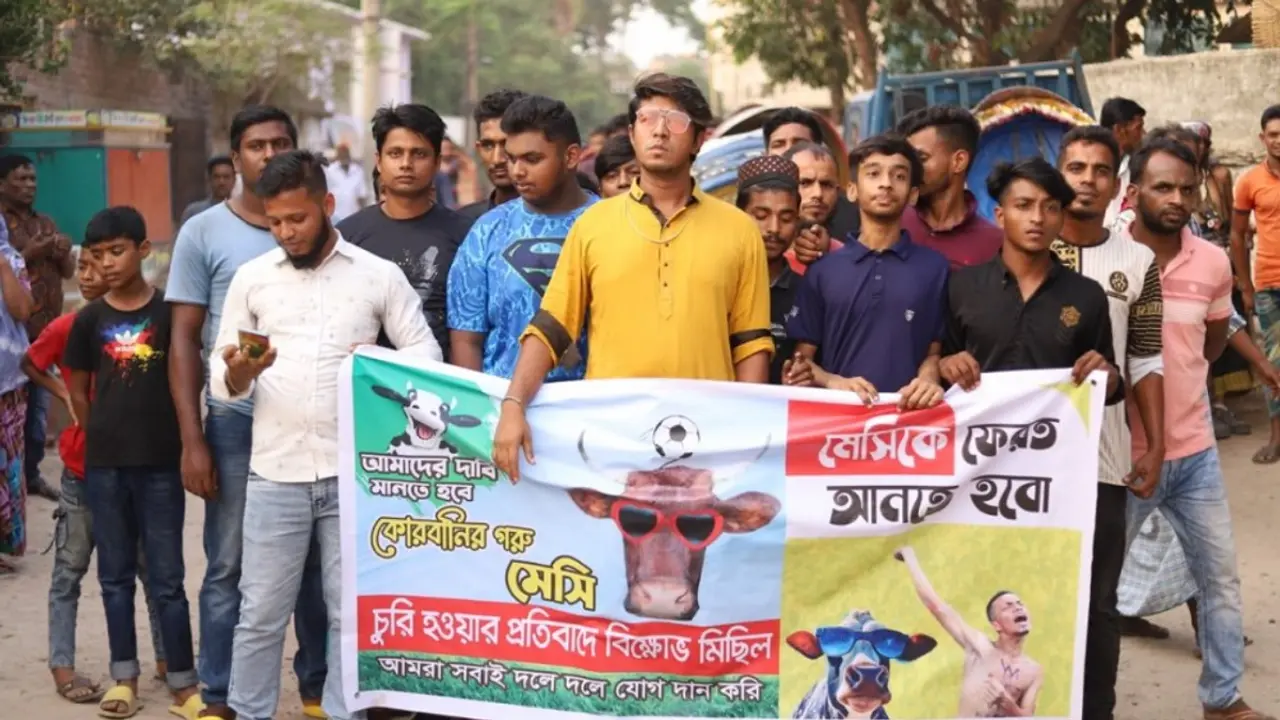 তৌসিফের গরুর নাম মেসি, চুরি যাওয়ায় মিছিল!