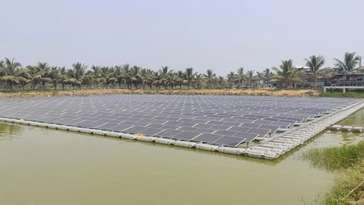 পুকুরে একসঙ্গে চলছে মাছচাষ ও বিদ্যুৎ উৎপাদন