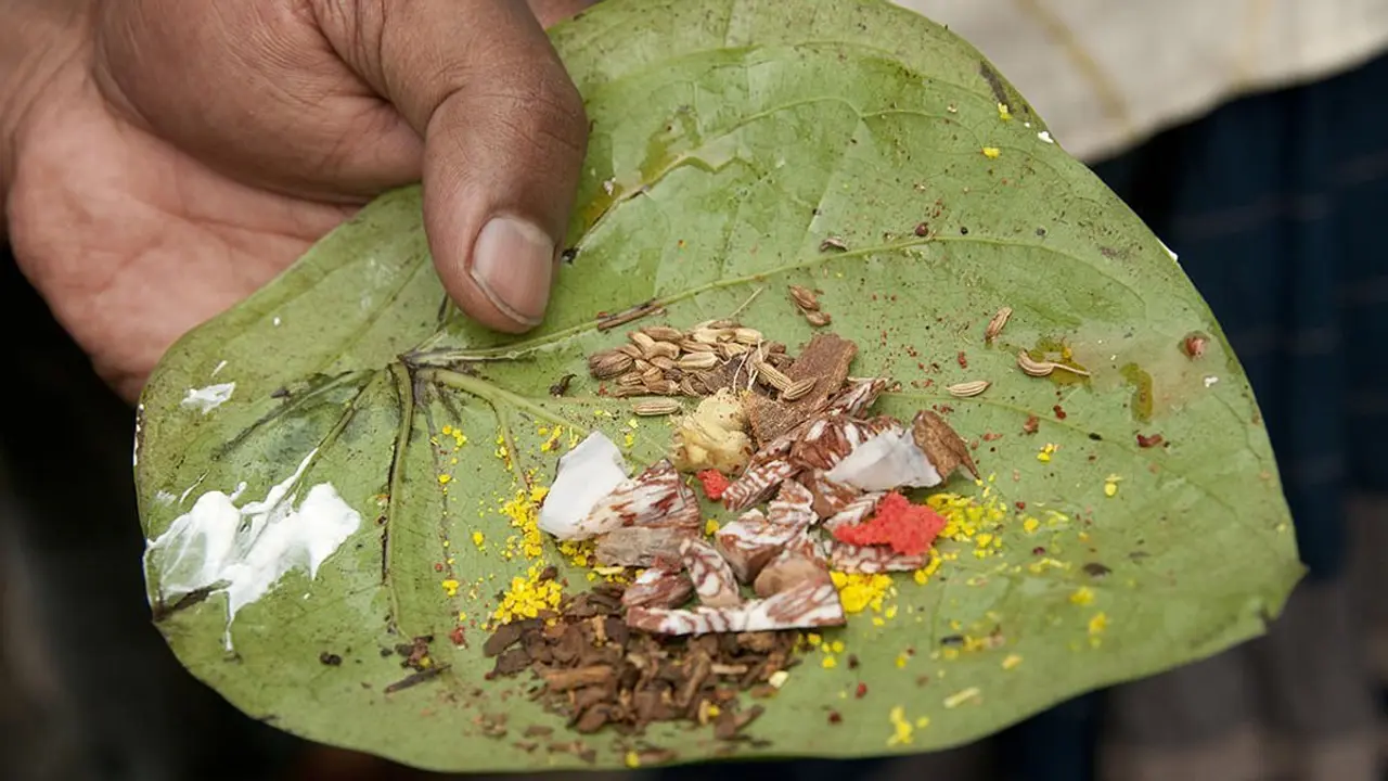 সেহরির পর মুখে পান রেখে ঘুমালে রোজা ভাঙ্গবে?