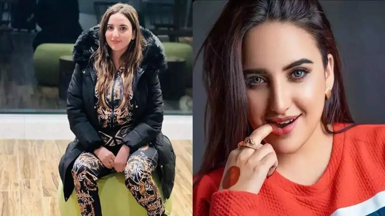 পাকিস্তানি টিকটকারের বাথরুম দৃশ্যের এমএমএস ফাঁস