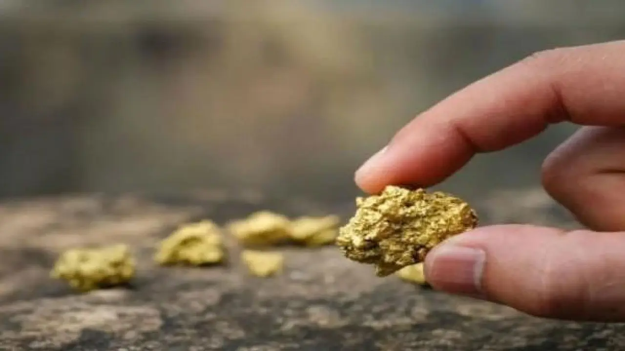 ভারতের ৯ জায়গায় মিলল সোনার খনির খোঁজ