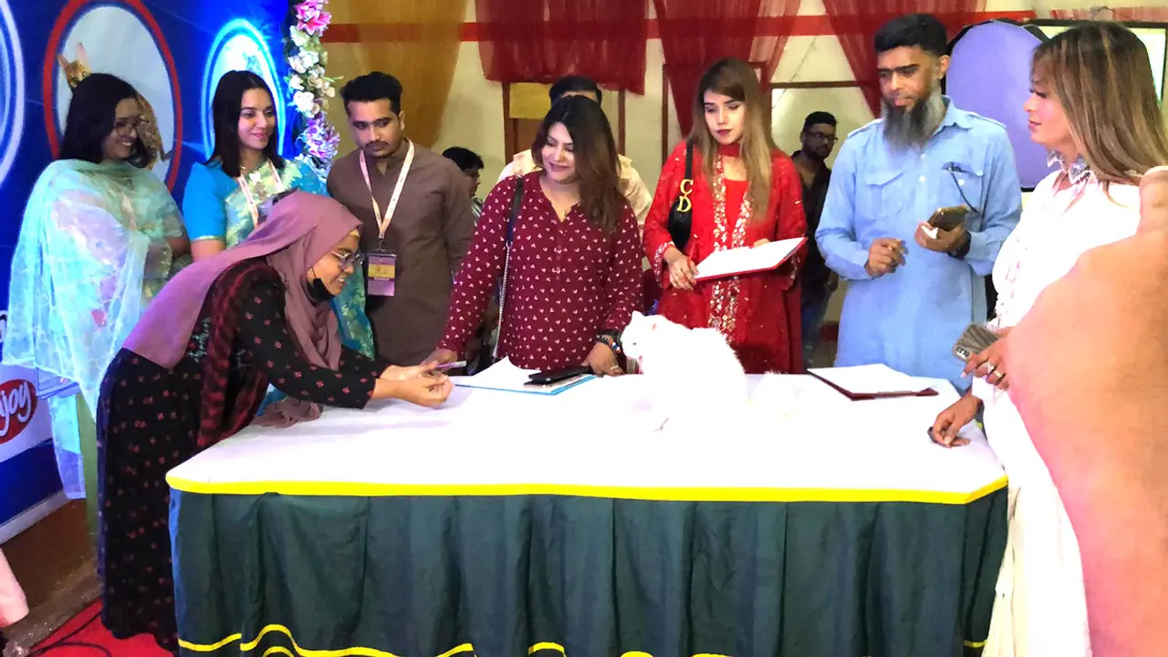 মিরপুরে বিড়ালপ্রেমীদের মিলনমেলা