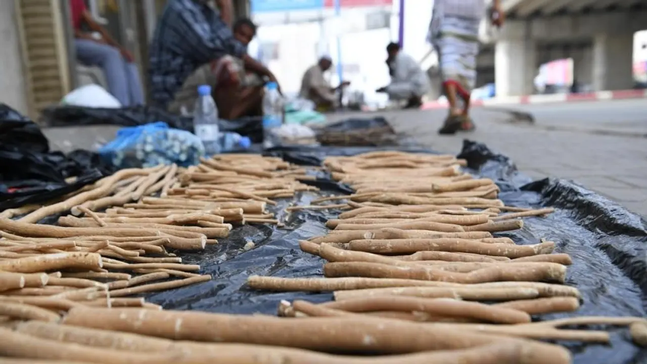 রোজা রেখে মেসওয়াক করার উপকারিতা