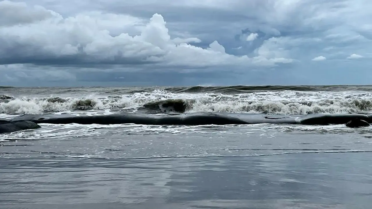পটুয়াখালীতে ৮ নম্বর বিপদ সংকেত, নেই কোনো সচেতনতা