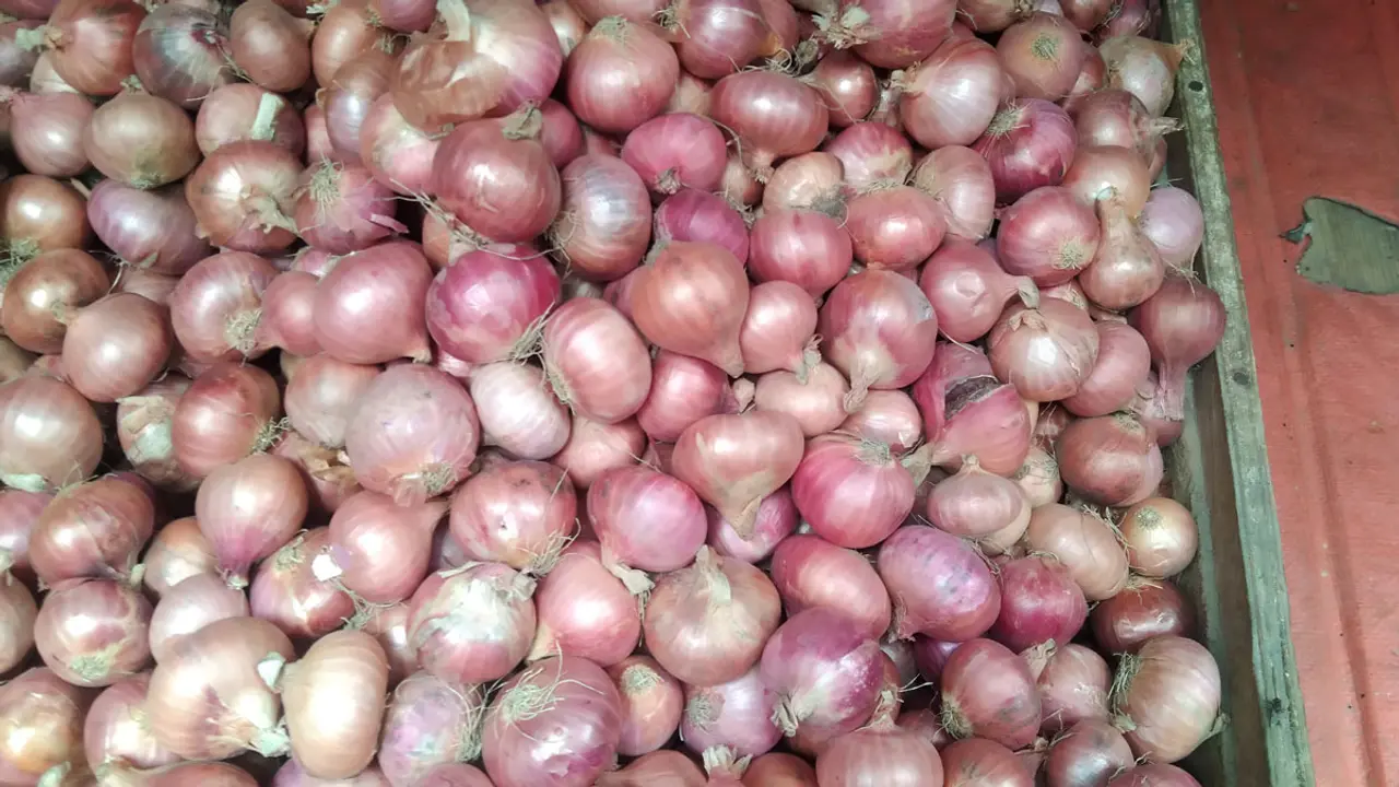 দুর্বার গতিতে ছুটছে পেঁয়াজ 