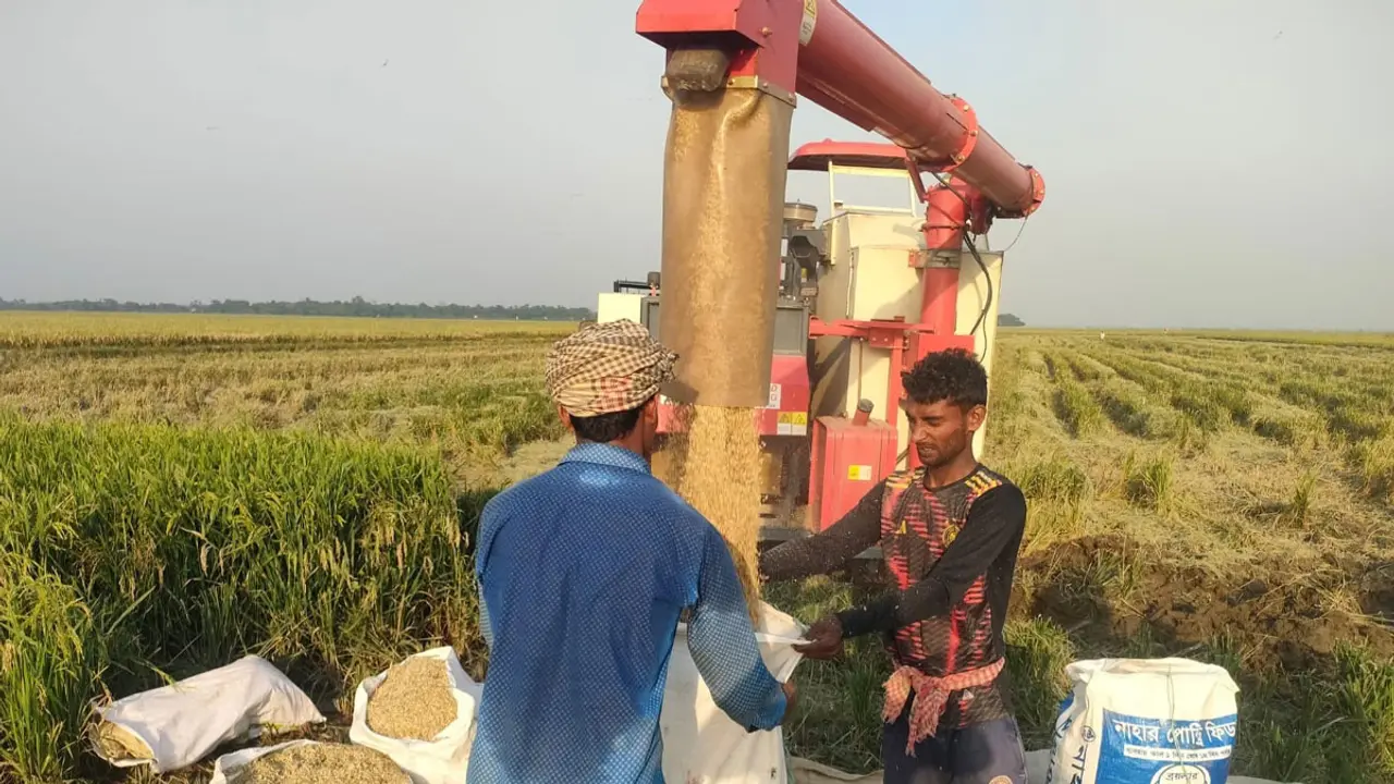 হারভেস্টার বিপ্লবে সুনামগঞ্জে কৃষকের ঘরে ধান, মুখে হাসি