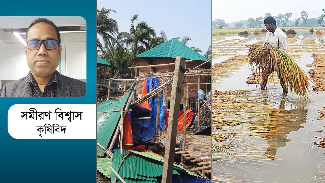 মোখার তাণ্ডব : কৃষিখাতে ক্ষয়ক্ষতির পরিমাণ ব্যাপক