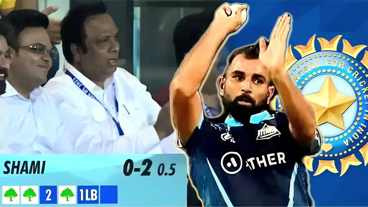 আইপিএলে প্রতি ডট বলের জন্য ৫০০ গাছ লাগাবে ভারত