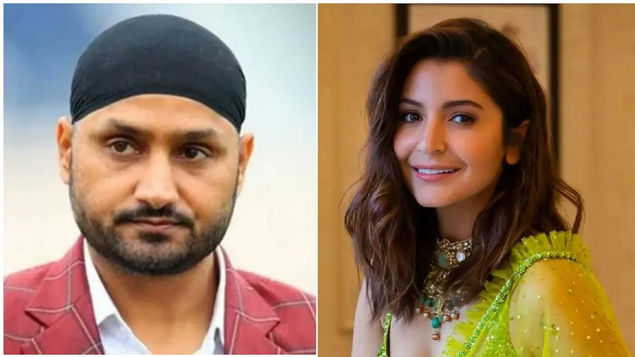 গ্যালারিতে আনুশকাকে দেখে আপত্তিকর মন্তব্য হরভজনের