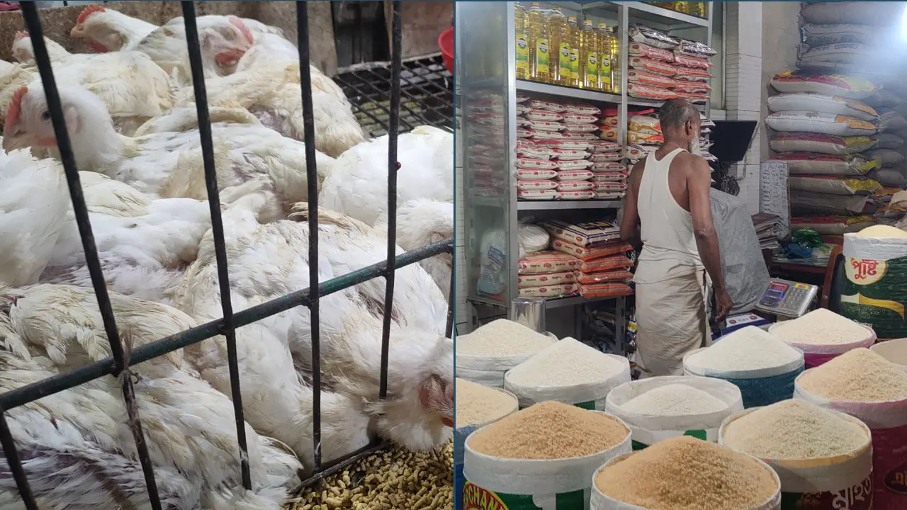 দাম কমেছে ব্রয়লার-আলু-পেঁয়াজের, বেড়েছে ডালের