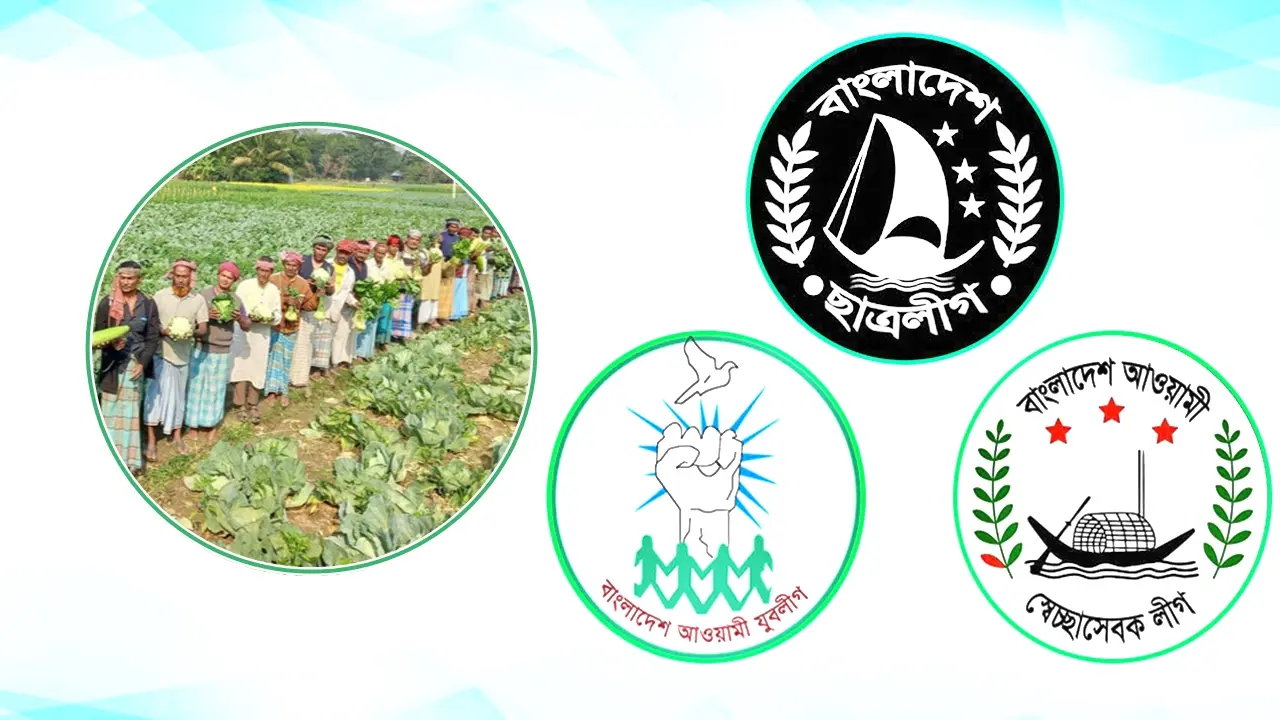 কৃষকের সবজি কিনে ঢাকায় বিক্রি করবে আ.লীগের ৩ সংগঠন