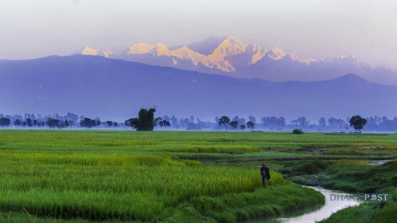 dhakapost