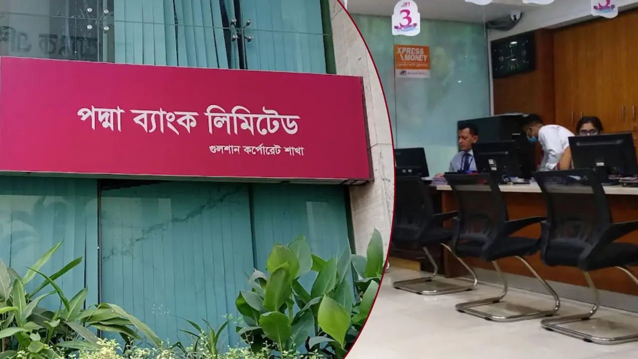 পদ্মা ব্যাংকে নিয়োগ বিজ্ঞপ্তি, আবেদন অনলাইনে