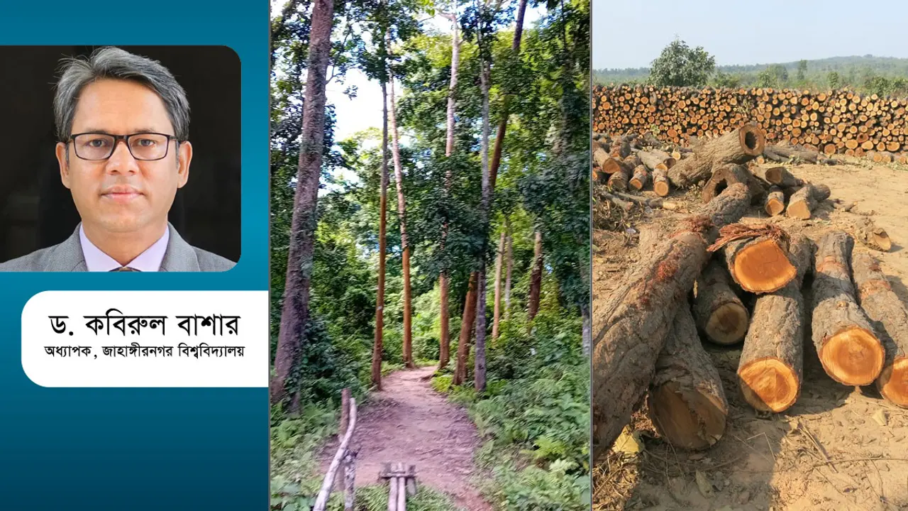 বনভূমি উজাড় করে উন্নয়ন প্রকল্প আর কতদিন?